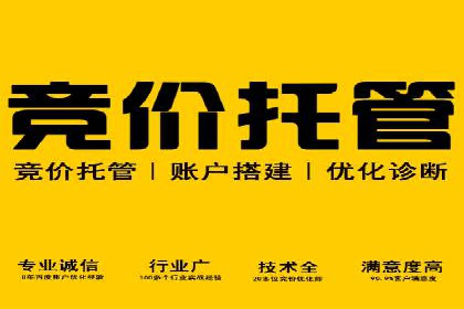 探索sem推广竞价的无限可能：成功案例集锦